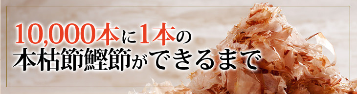 10,000本に1本の 本枯節鰹節ができるまで